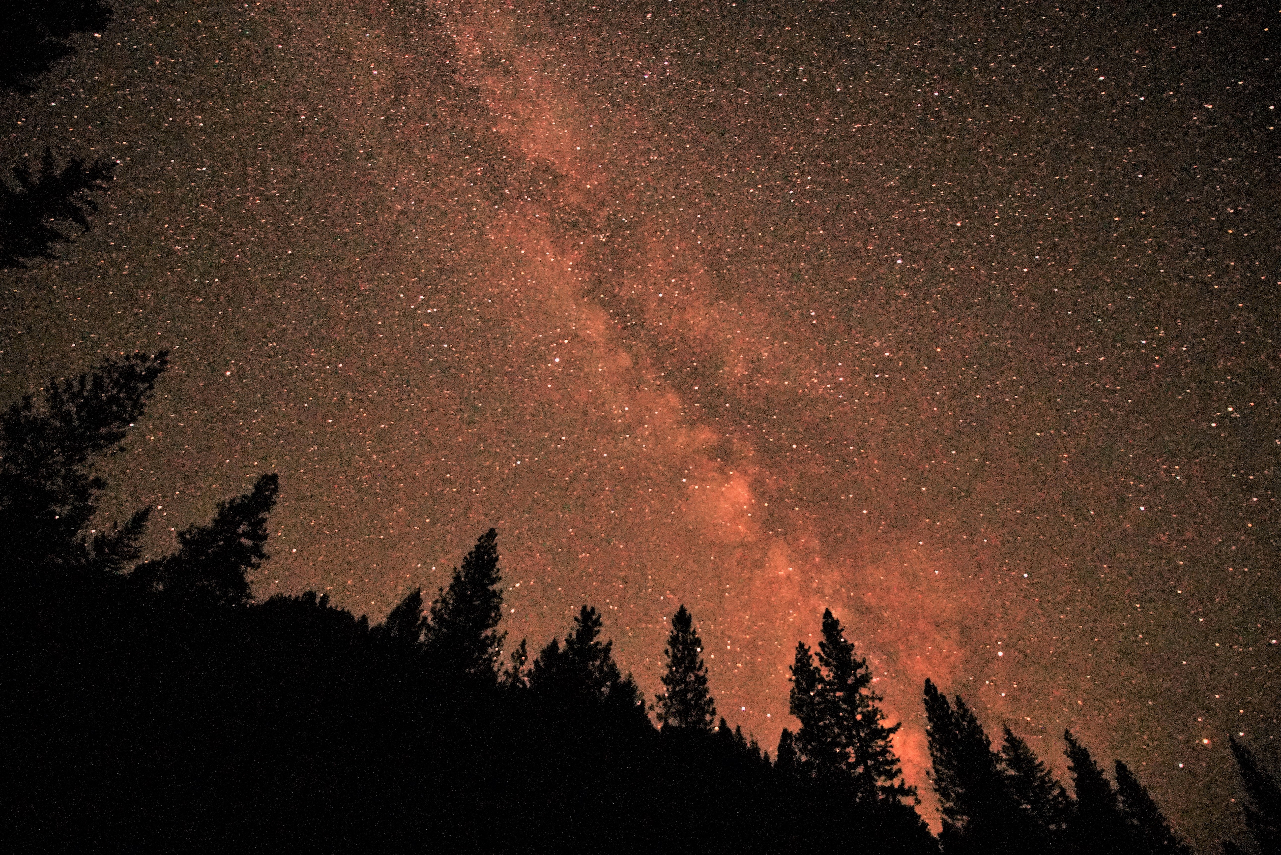 Trinity Alps Night Sky and Milky Way