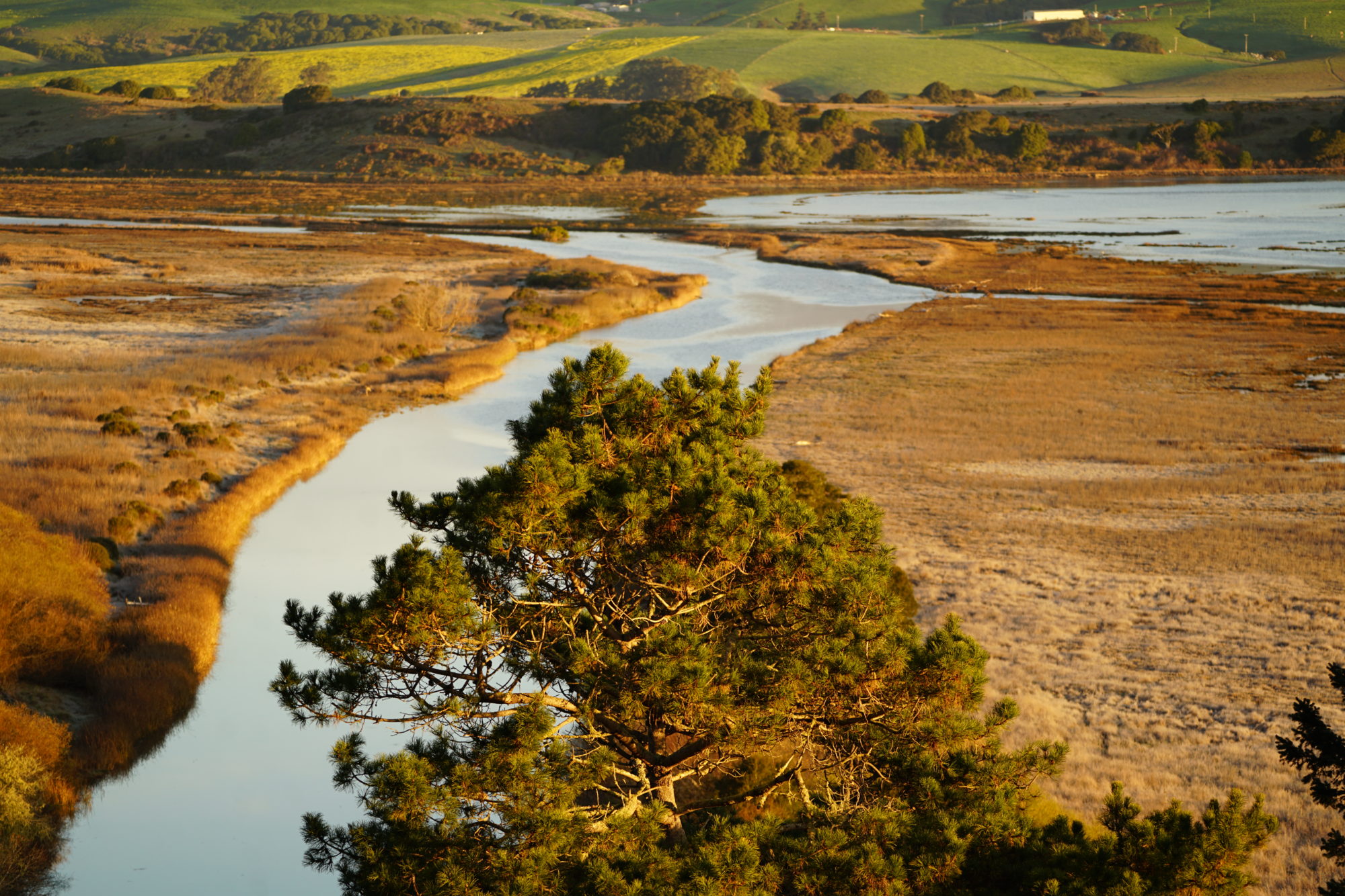 save-the-land-and-water-conservation-fund-public-lands-conservancy